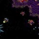 Image for article titled StarCraft Was Once a Busted Pile of Crap